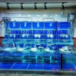 z6003013187410_a560adbb98f1ce51877a99d3fbc0bddb