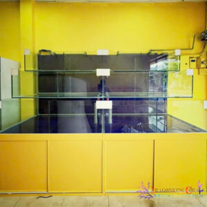 z6003013499631_d61cd9a924ce0aea864a552b4f329ec0