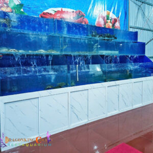 z6003014056415_89fb68292f5003783235429460cee823