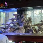 z6003014901005_31b44e072859ed00a3165bf4cbc9b2ff