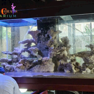 z6003014901005_31b44e072859ed00a3165bf4cbc9b2ff