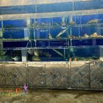 z6003015327176_9884b3dca957e5d5001875d5acfb726e