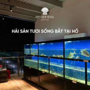 z6003018332779_35bcf7fe076bdd08e26fc1b1135a972f