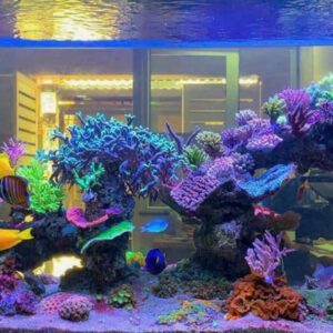 z6003018848145_a3ecbde6d266101036f35725df135776