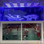 z6003023267749_d1066ce16acb24a79ce17ed2d1bdd845