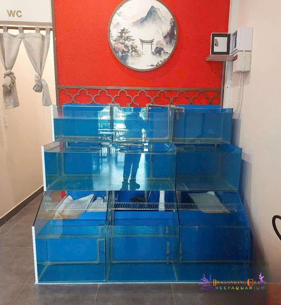 kích thước hồ hải sản