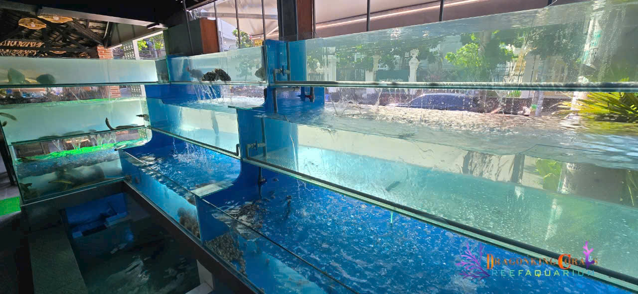 hồ hải sản chuẩn