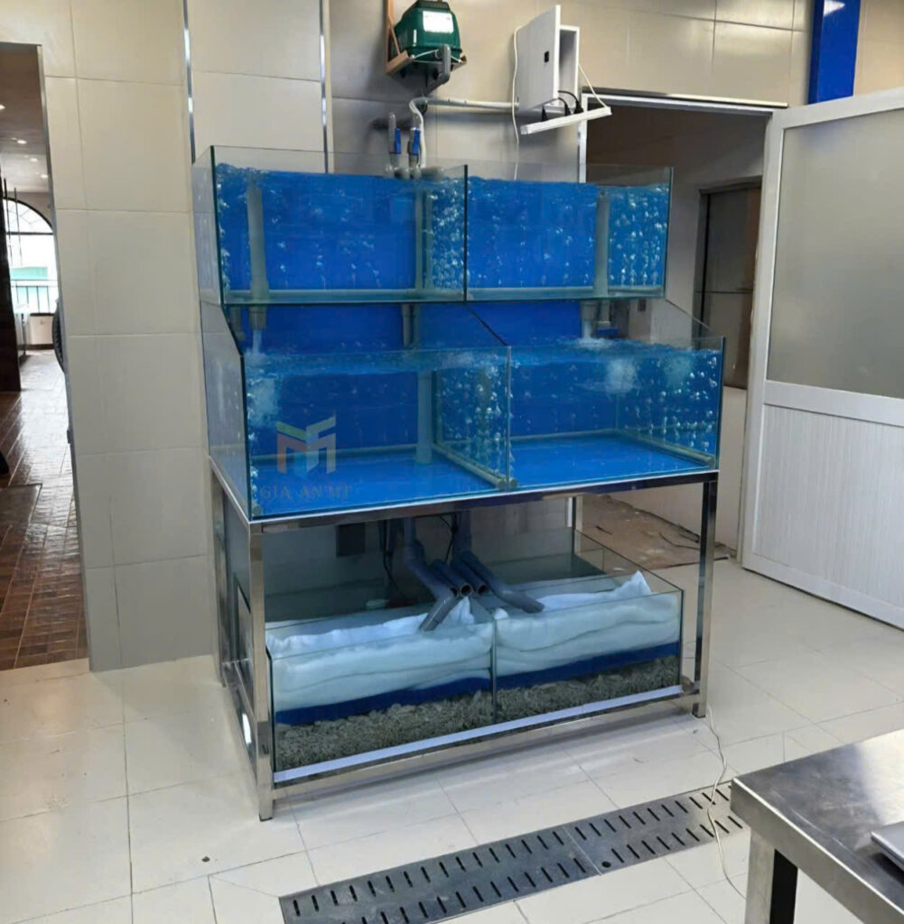 lắp đặt hồ hải sản