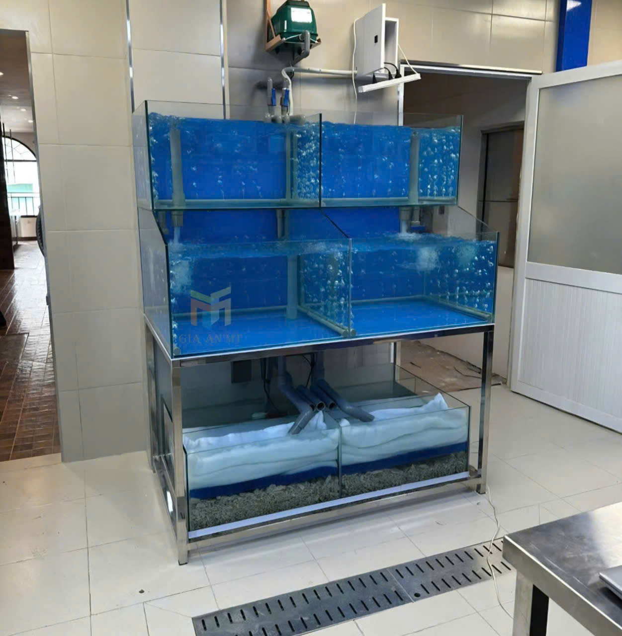lắp đặt hồ hải sản