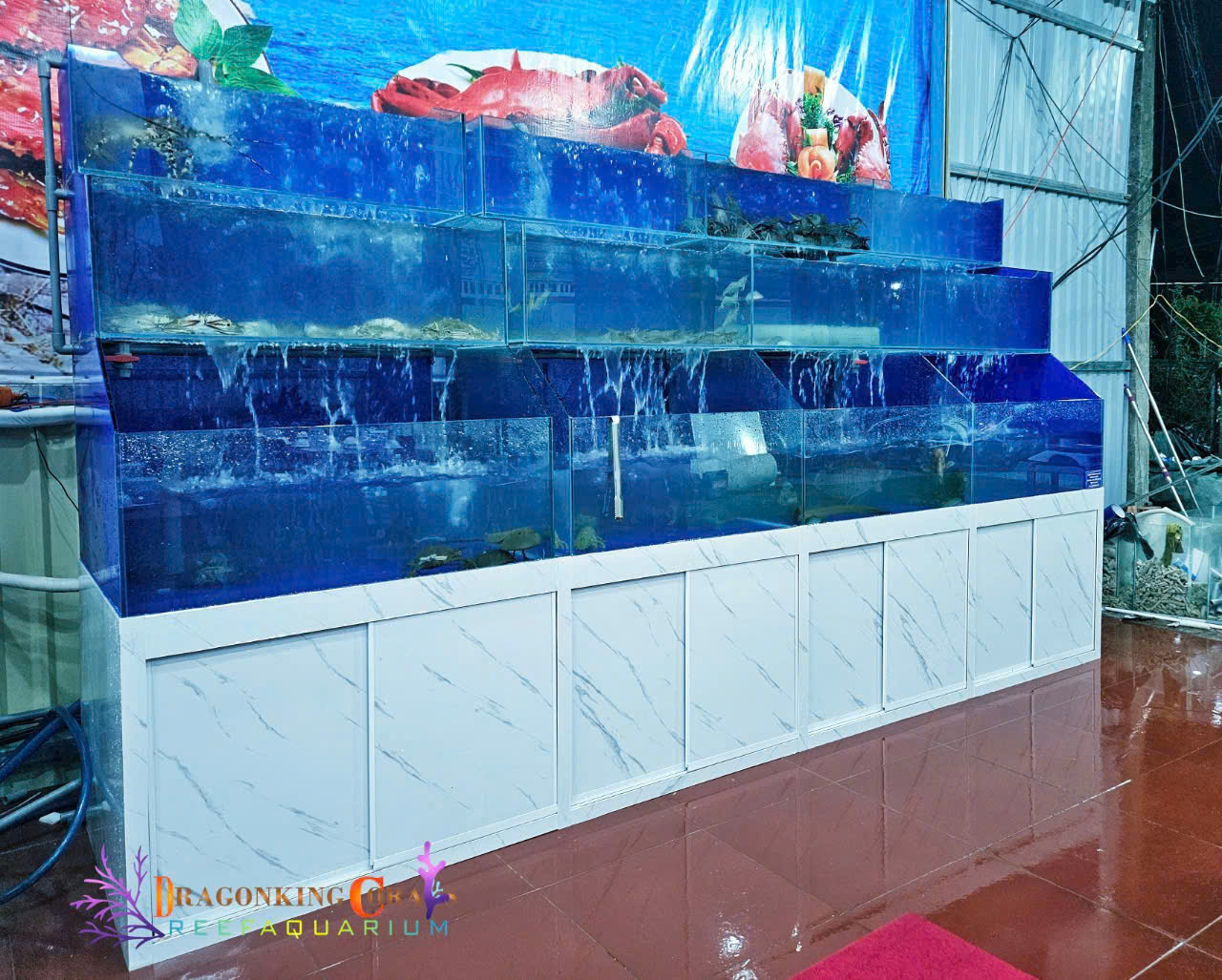 sục khí hồ hải sản