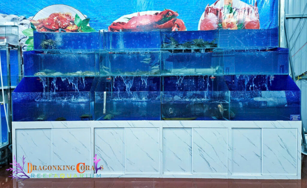 hồ hải sản nhà hàng