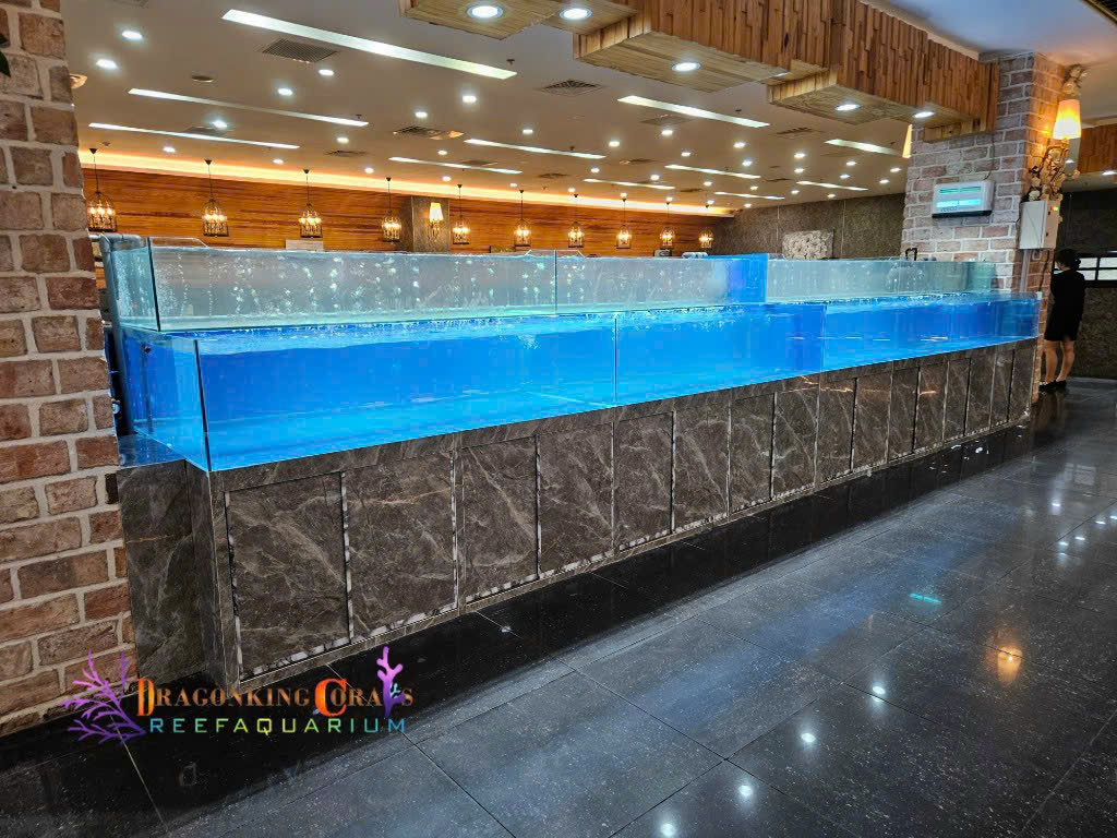 báo giá hồ hải sản